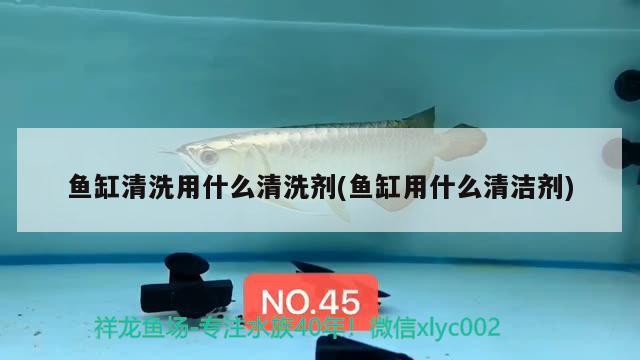 魚缸清洗用什么清洗劑(魚缸用什么清潔劑) 觀賞魚市場