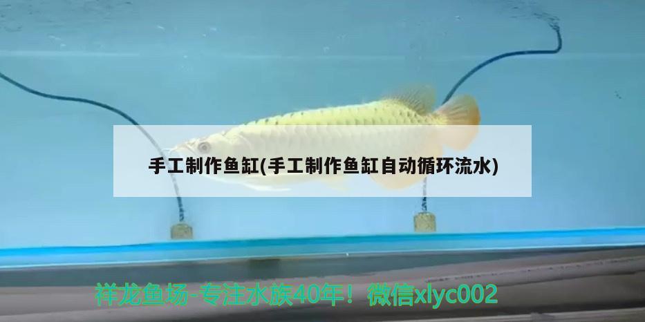 手工制作魚(yú)缸(手工制作魚(yú)缸自動(dòng)循環(huán)流水)