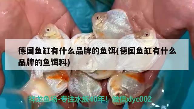 德國魚缸有什么品牌的魚餌(德國魚缸有什么品牌的魚餌料)