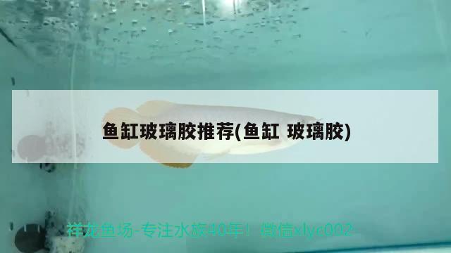 一米二魚缸水泵流量(15米魚缸水泵流量3000可以嗎)