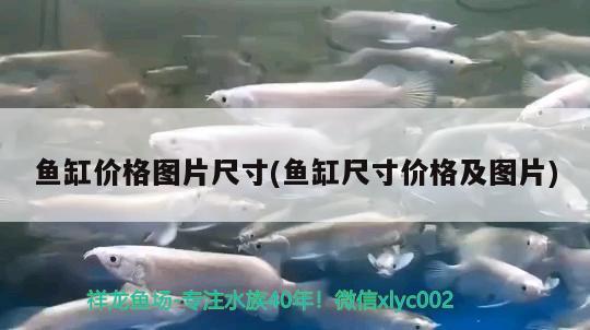 魚缸價(jià)格圖片尺寸(魚缸尺寸價(jià)格及圖片) 水族用品