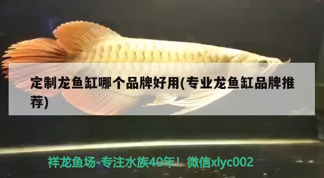 洛陽金龍魚廠家業(yè)務(wù)招聘信息最新：金龍魚河南分公司