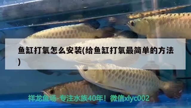 魚缸打氧怎么安裝(給魚缸打氧最簡單的方法) 水族世界