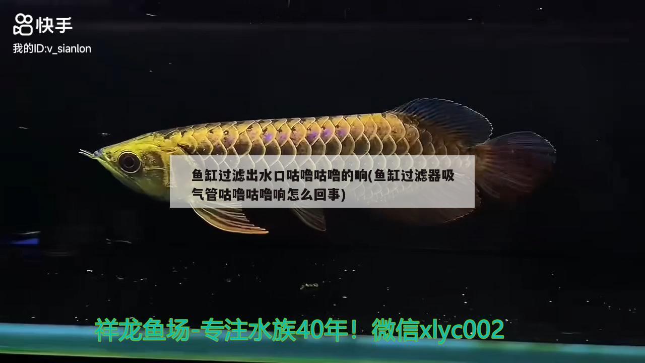 魚缸過濾出水口咕嚕咕嚕的響(魚缸過濾器吸氣管咕嚕咕嚕響怎么回事) 二氧化碳設(shè)備