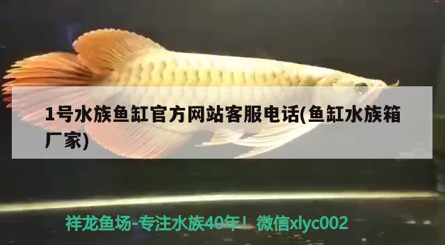 1號(hào)水族魚缸官方網(wǎng)站客服電話(魚缸水族箱廠家) 魚缸/水族箱