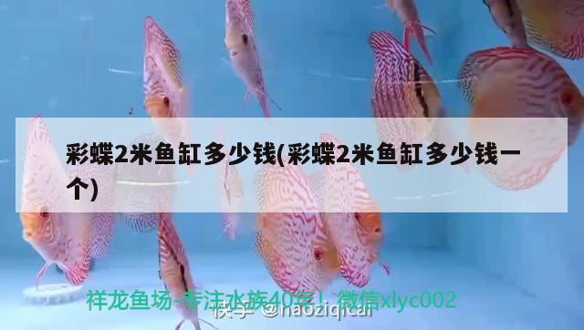 彩蝶2米魚缸多少錢(彩蝶2米魚缸多少錢一個)