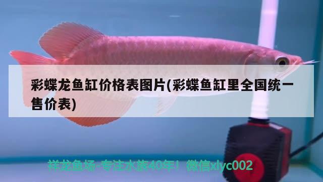 彩蝶龍魚缸價格表圖片(彩蝶魚缸里全國統(tǒng)一售價表) 魚缸/水族箱