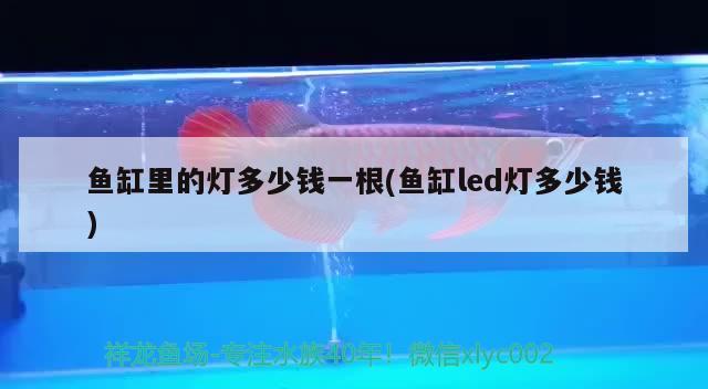 池州魚缸定制廠家聯(lián)系方式大全電話（池州魚苗批發(fā)）