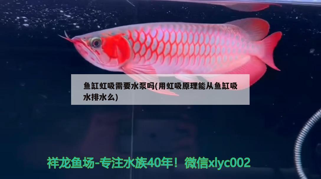 魚缸虹吸需要水泵嗎(用虹吸原理能從魚缸吸水排水么)