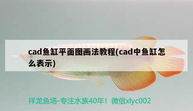 cad魚缸平面圖畫法教程(cad中魚缸怎么表示) 紅龍魚百科