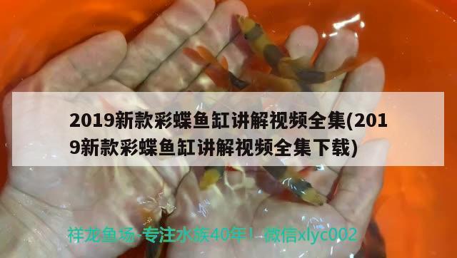 龍魚(yú)味道怎么樣：魷龍魚(yú)學(xué)名 祥龍水族醫(yī)院 第2張