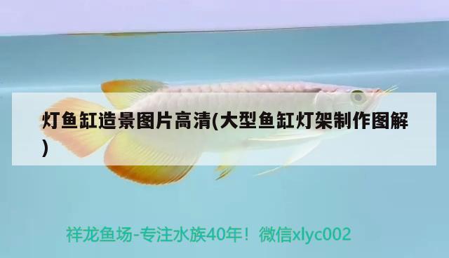 燈魚缸造景圖片高清(大型魚缸燈架制作圖解)