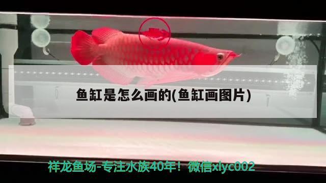 魚缸是怎么畫的(魚缸畫圖片) 古典過背金龍魚