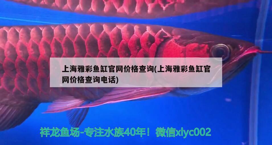 上海雅彩魚缸官網(wǎng)價格查詢(上海雅彩魚缸官網(wǎng)價格查詢電話)