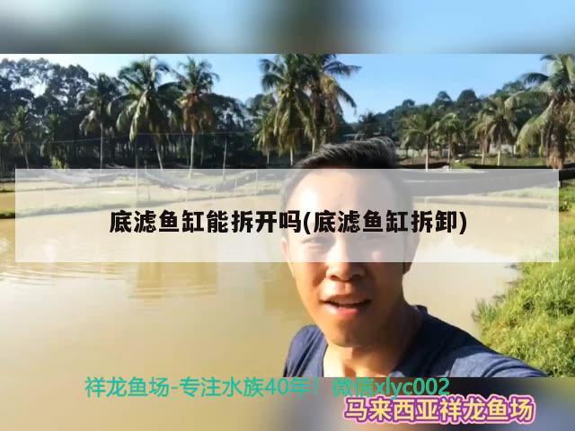 底濾魚缸能拆開嗎(底濾魚缸拆卸) 粗線銀版魚苗