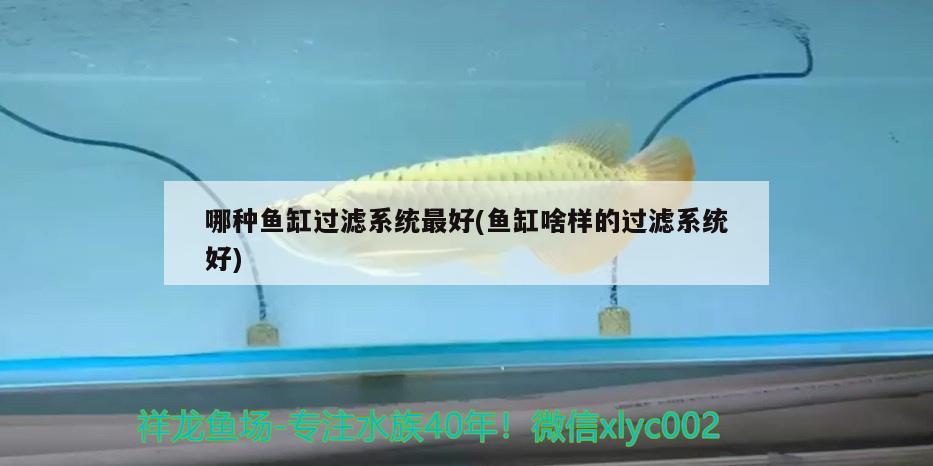 哪種魚缸過濾系統(tǒng)最好(魚缸啥樣的過濾系統(tǒng)好) 水族燈（魚缸燈）