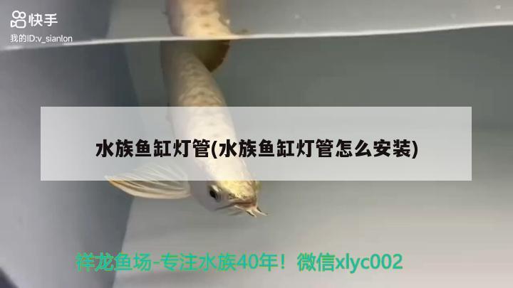 不用清理魚缸的魚叫什么魚：不需要打氧的清潔魚 養(yǎng)魚的好處 第2張