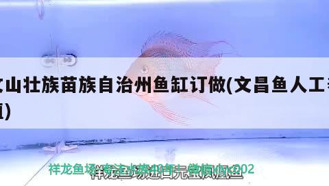 魚缸上的藻（魚缸上的藻類一般是什么澡） 其他品牌魚缸 第3張