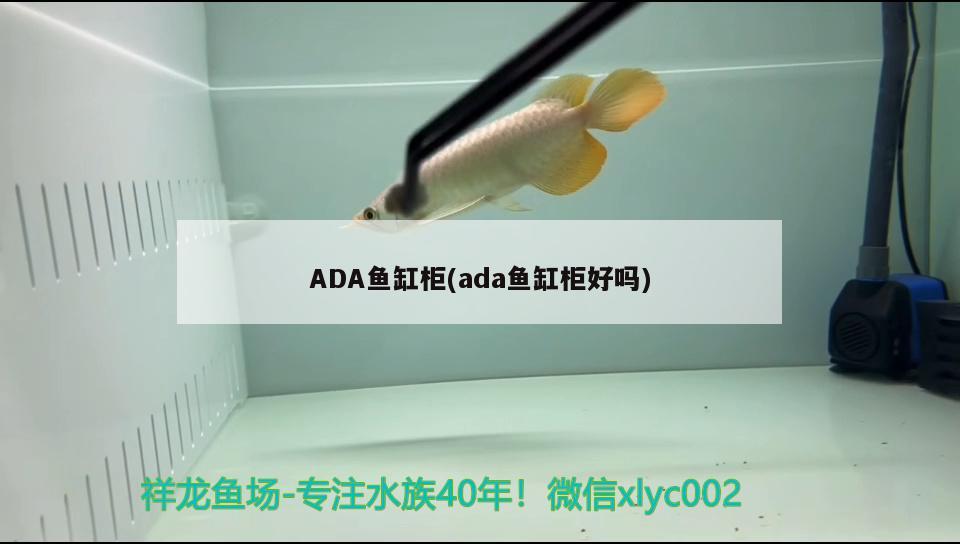 ADA魚(yú)缸柜(ada魚(yú)缸柜好嗎) 黑桃A魚(yú)