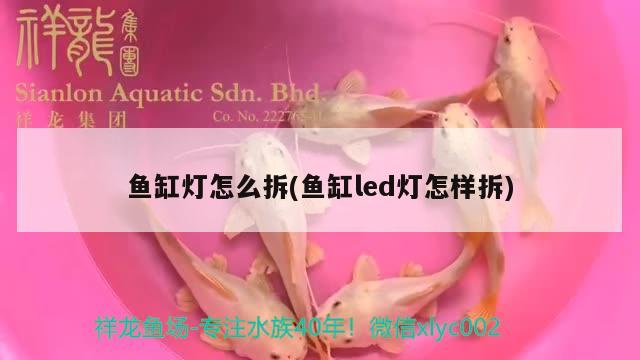 魚(yú)缸燈怎么拆(魚(yú)缸led燈怎樣拆) 潛水泵