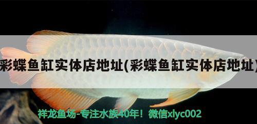 彩蝶魚缸實體店地址(彩蝶魚缸實體店地址)