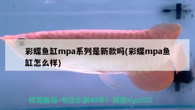 彩蝶魚(yú)缸mpa系列是新款嗎(彩蝶mpa魚(yú)缸怎么樣)