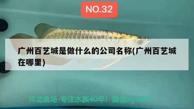 廣州百藝城是做什么的公司名稱(廣州百藝城在哪里) 觀賞魚批發(fā)