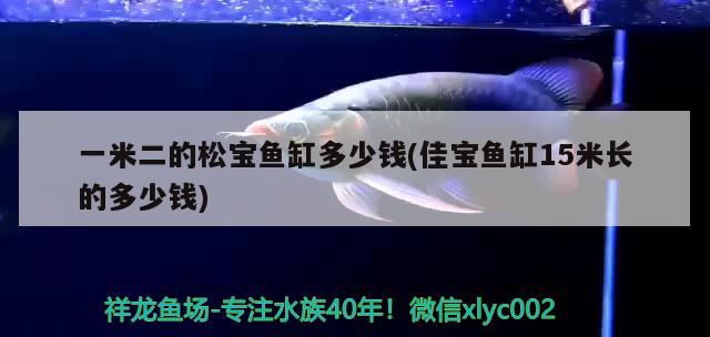 一米二的松寶魚缸多少錢(佳寶魚缸15米長的多少錢)