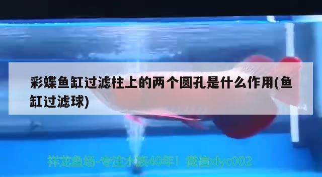 彩蝶魚(yú)缸過(guò)濾柱上的兩個(gè)圓孔是什么作用(魚(yú)缸過(guò)濾球) 魟魚(yú)百科