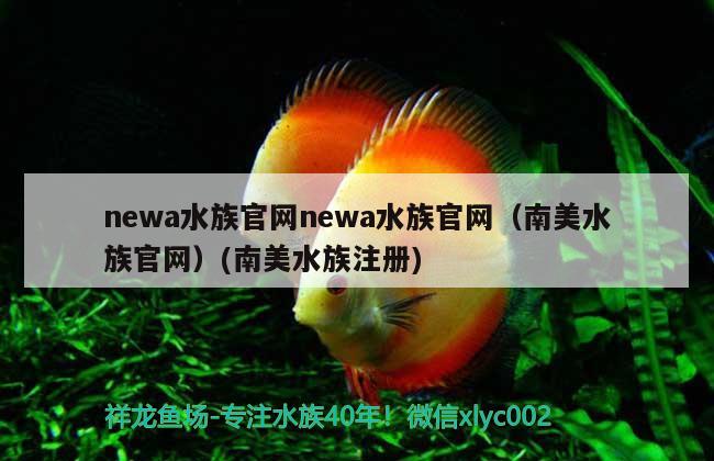 newa水族官網(wǎng)newa水族官網(wǎng)（南美水族官網(wǎng)）(南美水族注冊) 黑白雙星魚 第2張