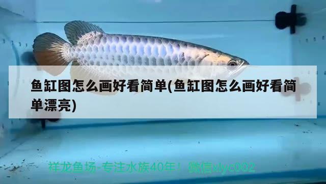 銀龍魚可以吃什么東西（銀龍魚一般吃什么）