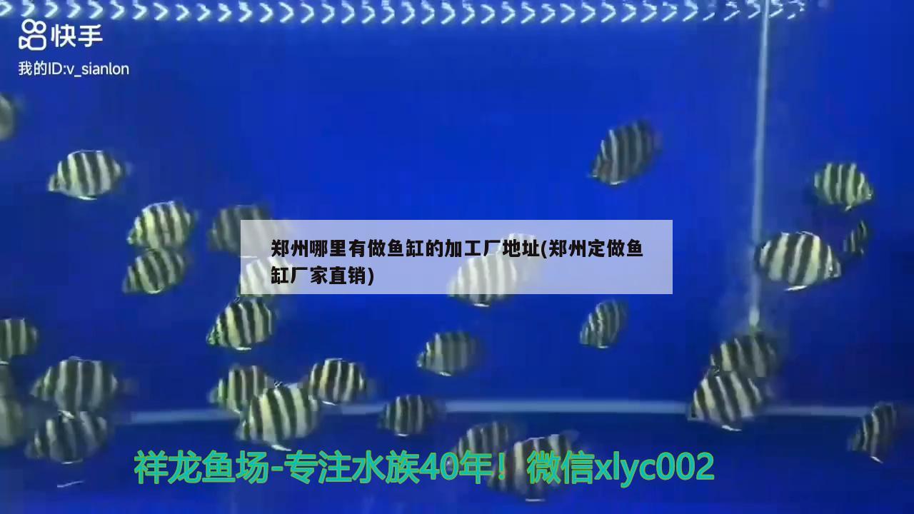 鄭州哪里有做魚缸的加工廠地址(鄭州定做魚缸廠家直銷) 招財戰(zhàn)船魚