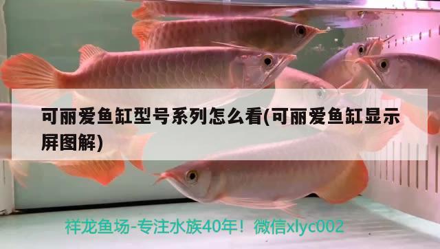 可麗愛魚缸型號系列怎么看(可麗愛魚缸顯示屏圖解)