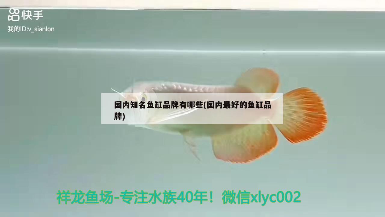 國內(nèi)知名魚缸品牌有哪些(國內(nèi)最好的魚缸品牌)