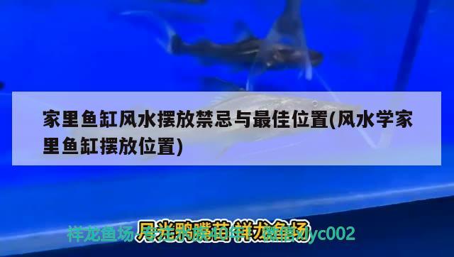 家里魚缸風水擺放禁忌與最佳位置(風水學家里魚缸擺放位置) 魚缸風水