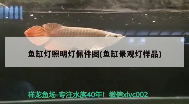 魚缸燈照明燈佩件圖(魚缸景觀燈樣品)