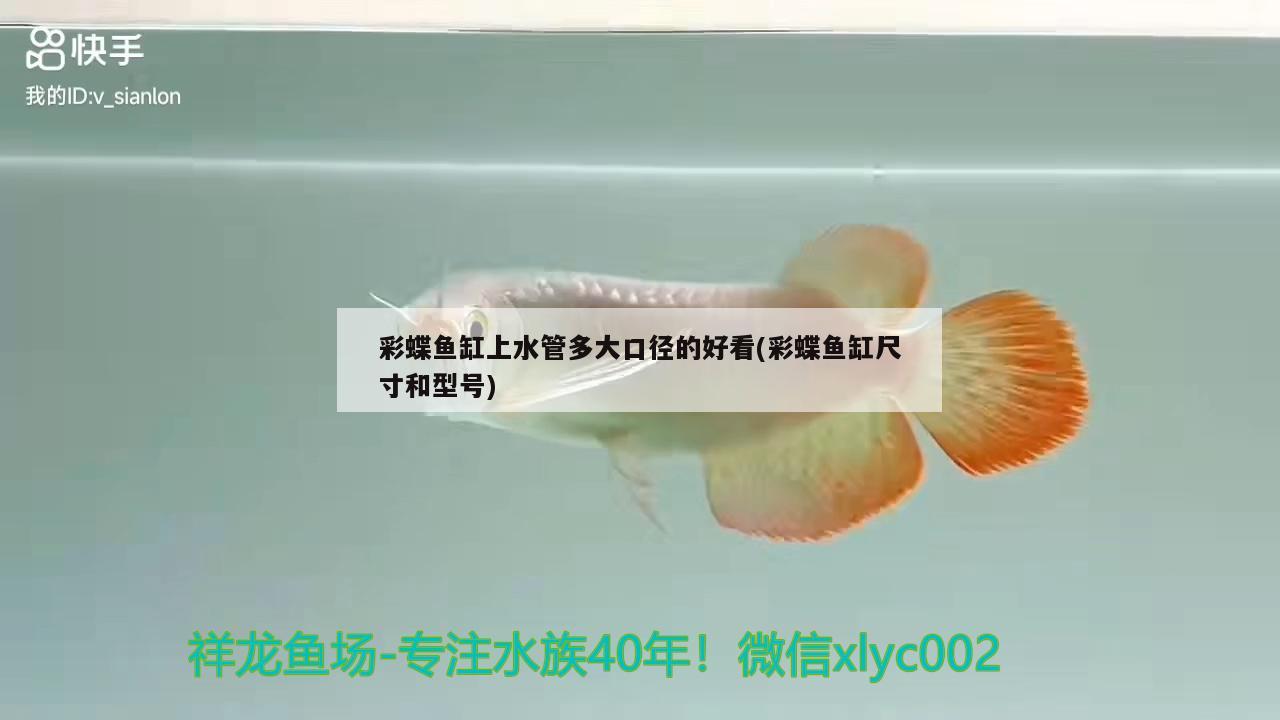 彩蝶魚缸上水管多大口徑的好看(彩蝶魚缸尺寸和型號) 殺菌消毒設(shè)備