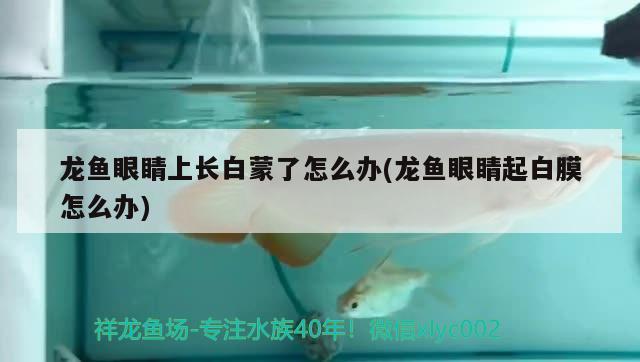 非凡水族魚缸怎么安裝圖片(永恒水族魚缸安裝視頻) 南美異型魚