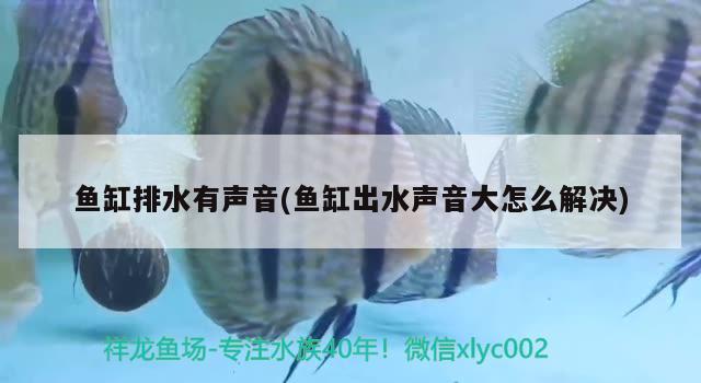 魚缸排水有聲音(魚缸出水聲音大怎么解決)