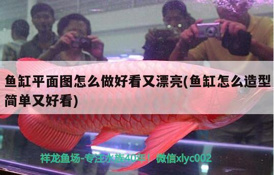 魚(yú)缸不清晰了該怎么辦(魚(yú)缸模糊弄不掉)