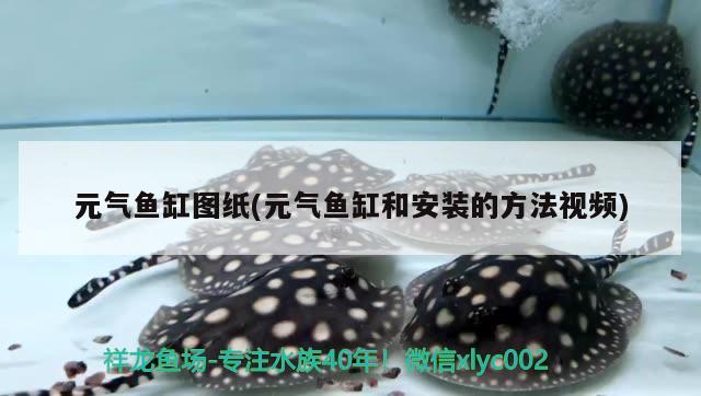 元氣魚缸圖紙(元氣魚缸和安裝的方法視頻) 龍魚芯片掃碼器