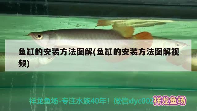 有蓋子魚(yú)缸上濾怎么改造 