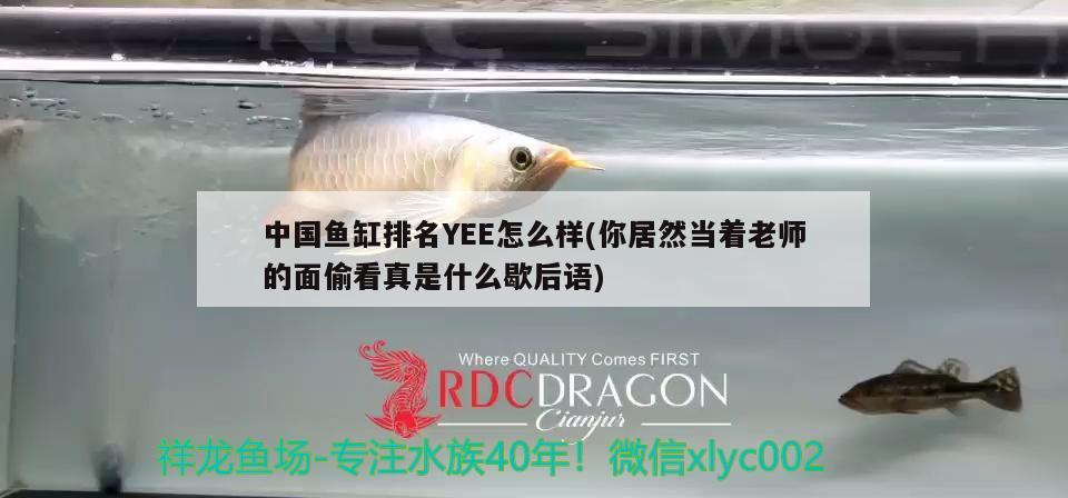 連云港觀賞魚市場退紗虎？可以退嗎