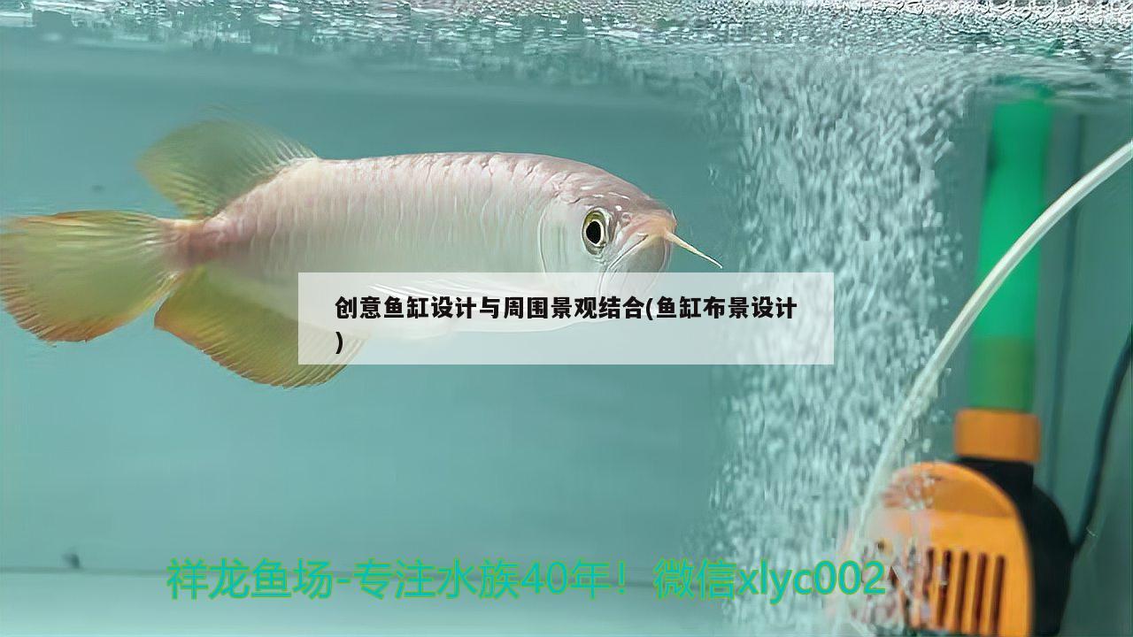 創(chuàng)意魚缸設(shè)計與周圍景觀結(jié)合(魚缸布景設(shè)計)