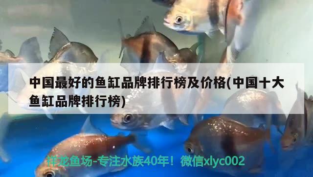 德薩斯羅漢魚(yú)：德薩斯羅漢魚(yú)視頻