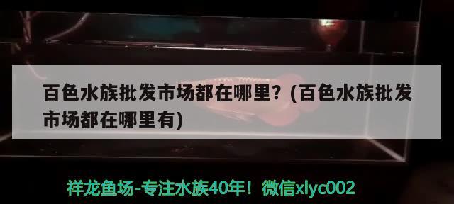 百色水族批發(fā)市場都在哪里？(百色水族批發(fā)市場都在哪里有)