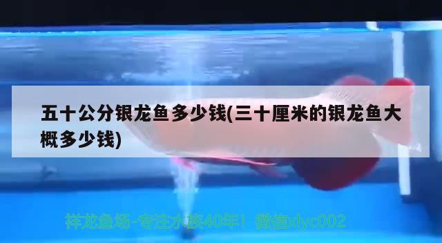 魚缸家用客廳（魚缸客廳最佳位置） 其他品牌魚缸 第3張