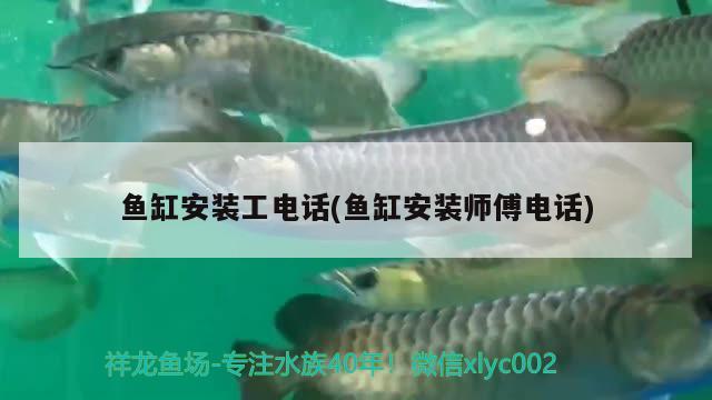 魚缸安裝工電話(魚缸安裝師傅電話) 小型觀賞魚