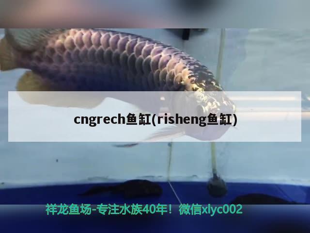 cngrech魚缸(risheng魚缸)