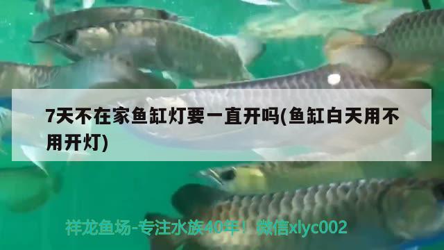 孝感水族批發(fā)市場在哪里啊多少錢一個（火鍋店裝修,用什么方法能讓衛(wèi)生間看起來不） 狗狗（犬） 第1張